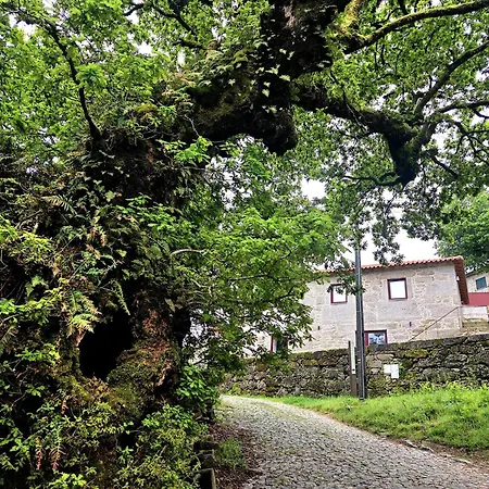 Casa de hóspedes Casa Aurora Campo do Gerês