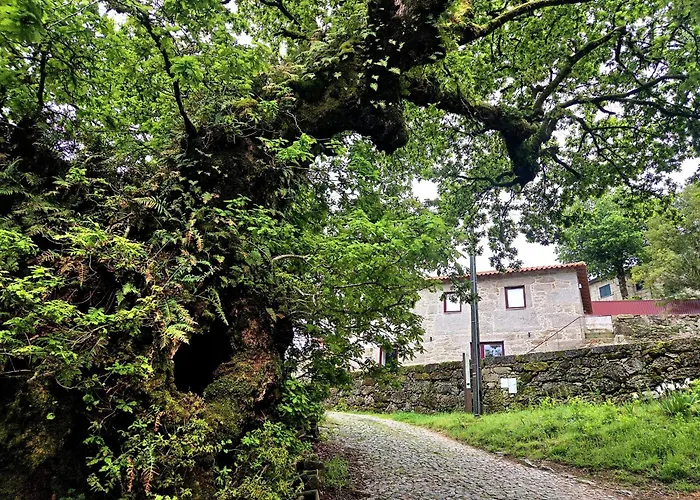 Pensión Casa Aurora Campo do Geres